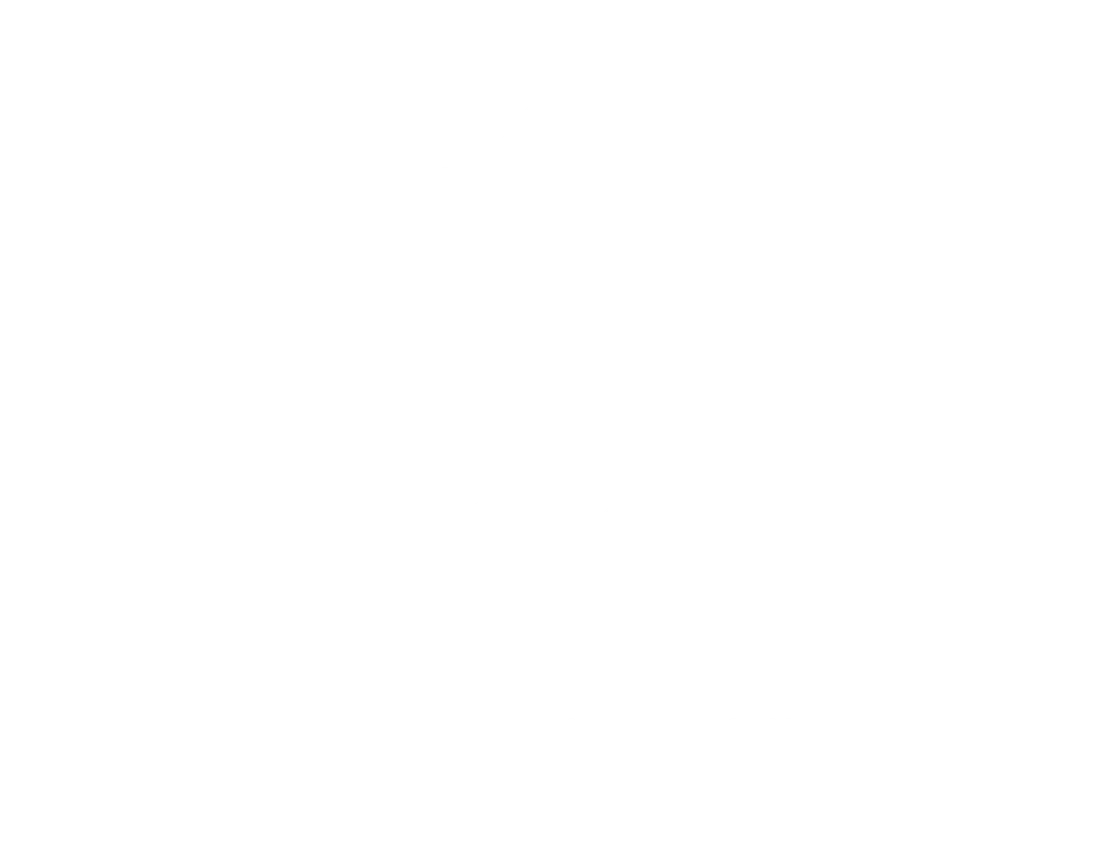 Friosur